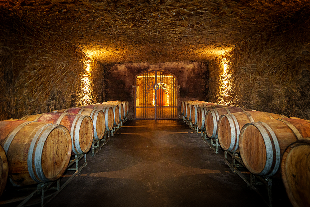 Saumur-Champigny : au Domaine La Perruche, le cabernet franc dans tous ses états
